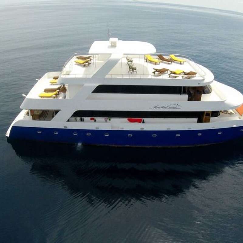 Manta Cruise